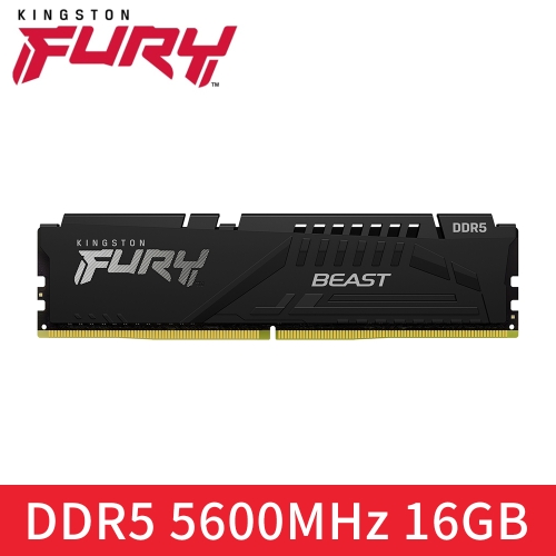 金士頓 Kingston DDR5 5600 16GB (CL36) FURY Beast (獸獵者)
